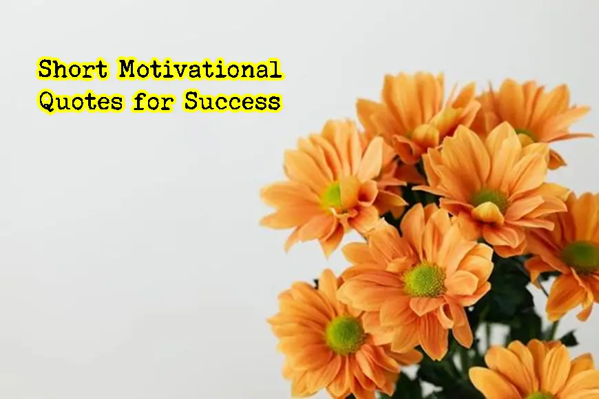 Short Motivational Quotes for Success That Will Inspire You Extremely
