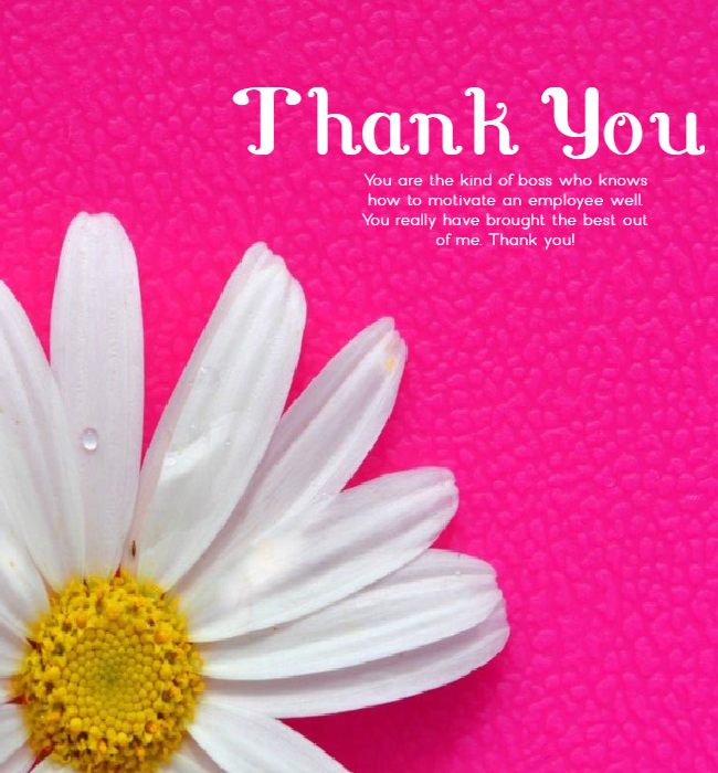 110 Heartfelt Thank You Messages With Images - Appreciation Quotes On ...