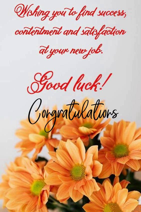 congratulations and good luck