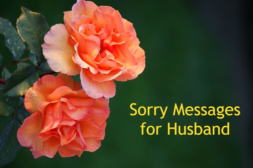 Apologies And Sorry Messages For Husband Im Sorry Images