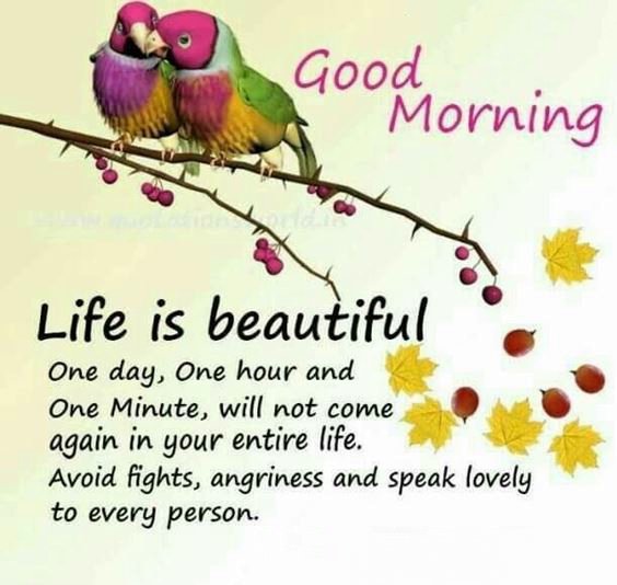 good morning awesome Good Morning Msg With Pictures Images Quotes And Beautiful Good Morning