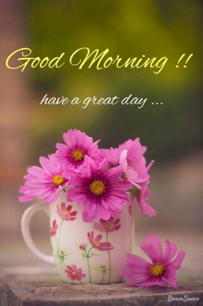 good morning flowers wishes Special Good Morning Images With wishes Pictures And Quotes