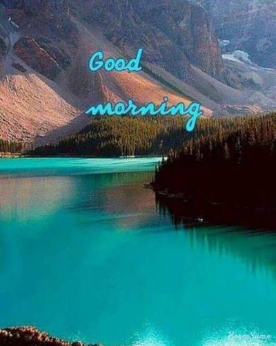 good morning hd Special Good Morning Images With wishes Pictures And Quotes