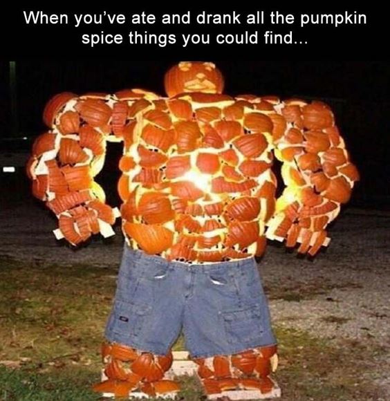 meme pumpkin Pumpkin Spice Memes Images Sayings and Puns