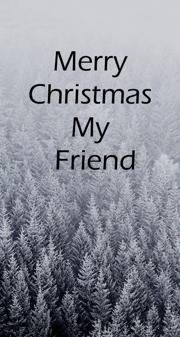 christmas sentiments for friends