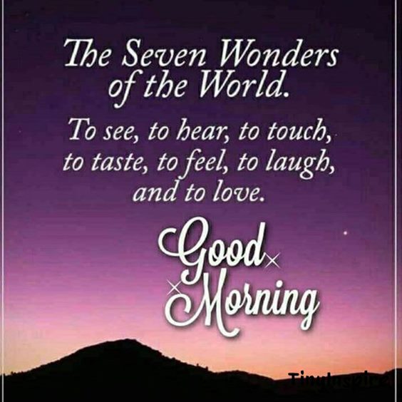 best good morning messages wise sentence about life - good morning wise quotes | good morning thoughts for the day motivational good morning msg beautiful day sayings