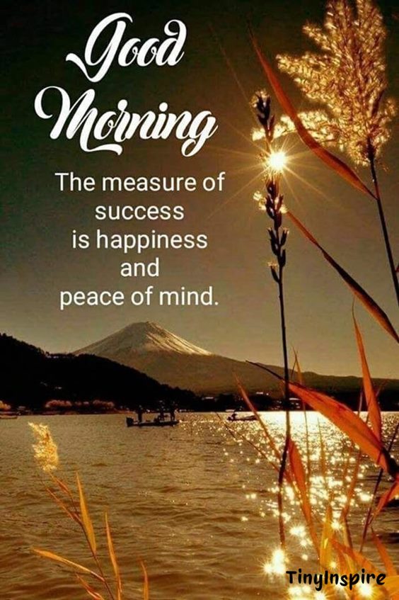 good morning and have a great day wisdom is - good morning wise quotes | short good morning quotes on god powerful good morning message about morning have a beautiful day quotes for her