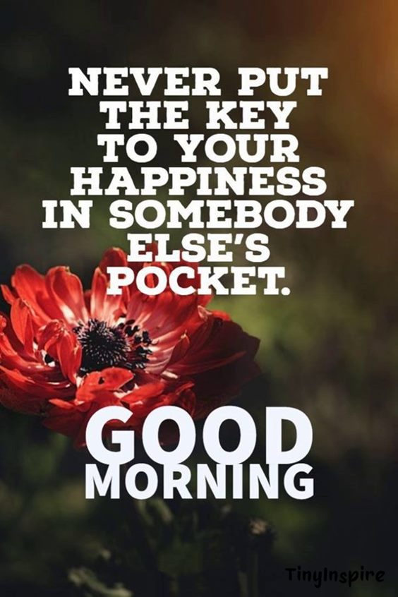 good morning quotes wise man said quotes - good morning wise quotes | famous good morning motivational quotes for him and wise quotes about life and love morning mindset cute good morning sayings