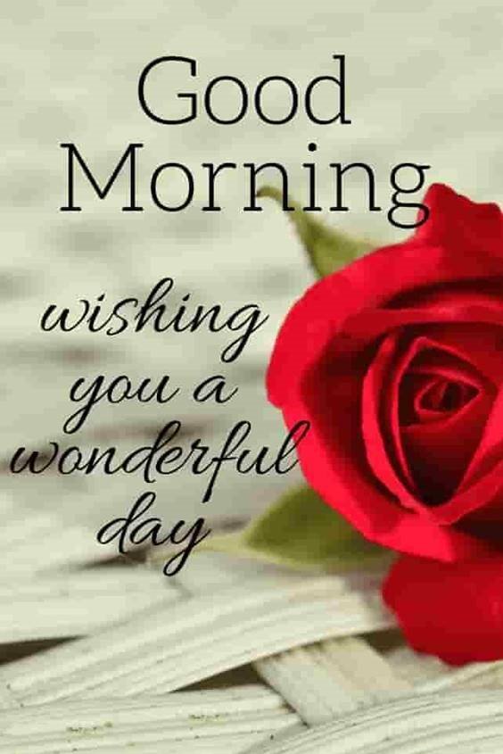 good morning i love you message romantic good morning message to my love wishing good morning to lover