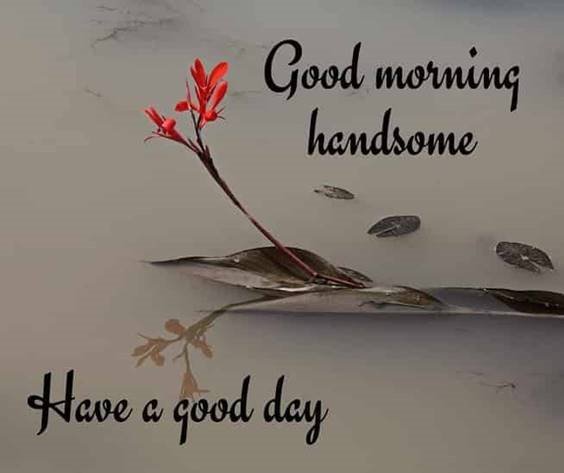 Good Morning long good morning messages lovely goodmorning quotes
