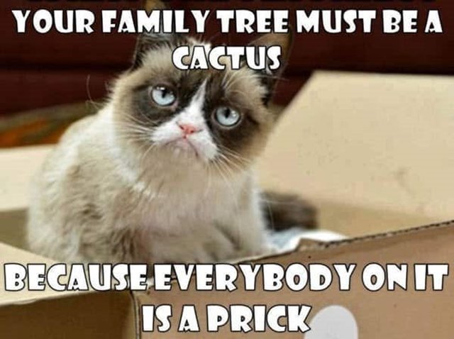angry family tree memes