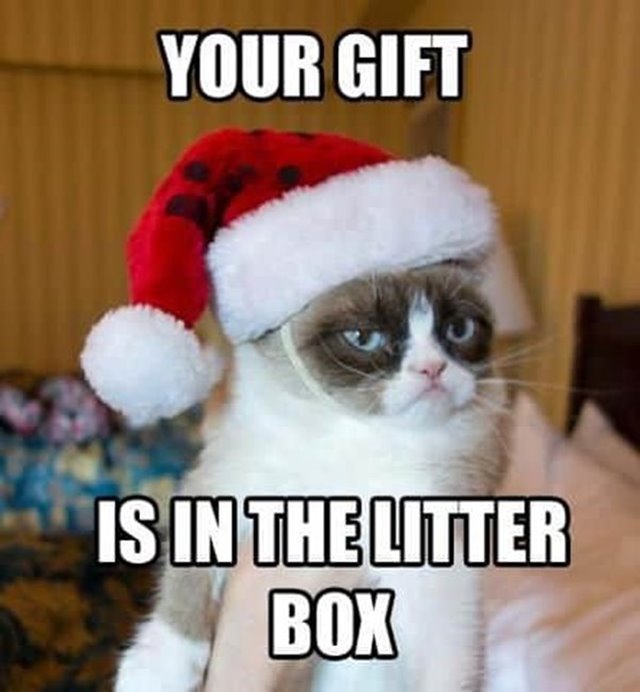 christmas drinking meme Amazing Merry Christmas Memes With Funny Xmas Christmas Images