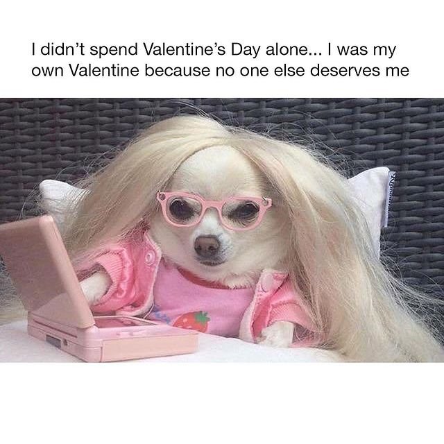valentines day memes funny