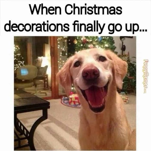 when christmas decorations finally go up funny meme Funny Merry Christmas Memes And Xmas Merry Funny Images