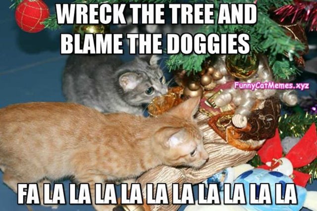 wreck the tree christmas meme Funny Merry Christmas Memes And Xmas Merry Funny Images