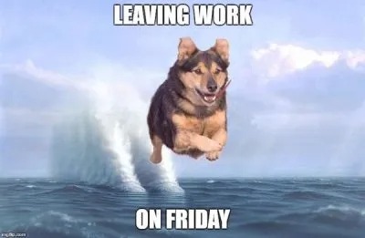 Friday Work Dog Meme