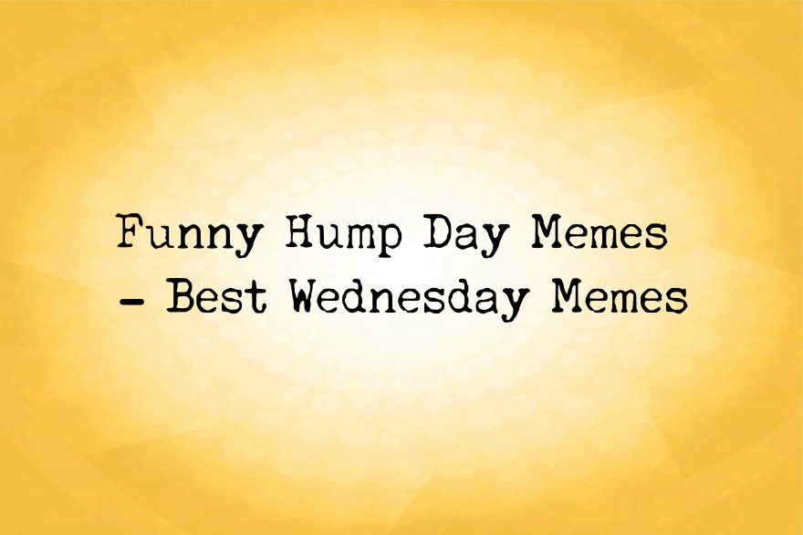 Funny Hump Day Memes Best Wednesday Memes