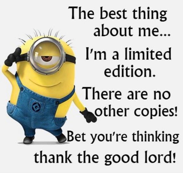 Hilarious Funny Awesome Minions Picture Quotes