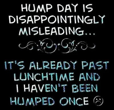 Hump Day Meme Diety