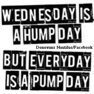 Hump day meme quotes
