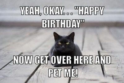 Funny Birthday Cat Images