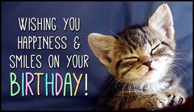 Happy Birthday Cat Meme For Her