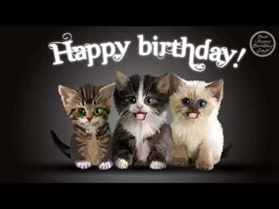 Happy Birthday Cat Meme Hd