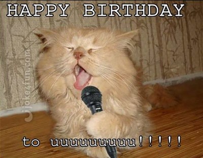 Happy Birthday Grumpy Cat Meme