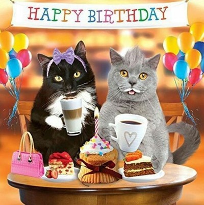 Happy Birthday Meme Cats