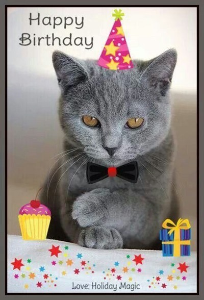Happy Birthday Meme With Cat