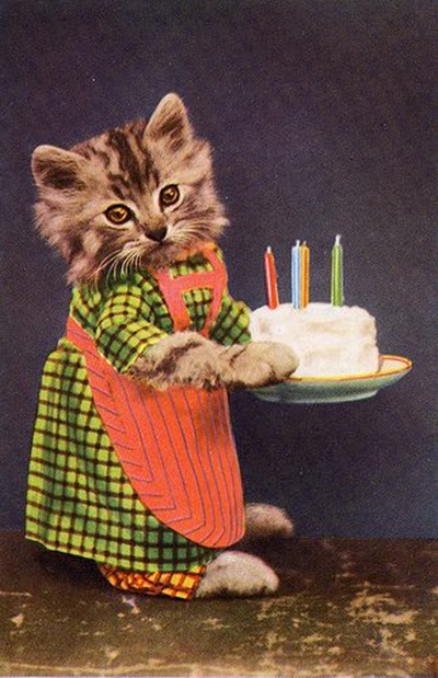 Lovely Happy Birthday Cat Meme