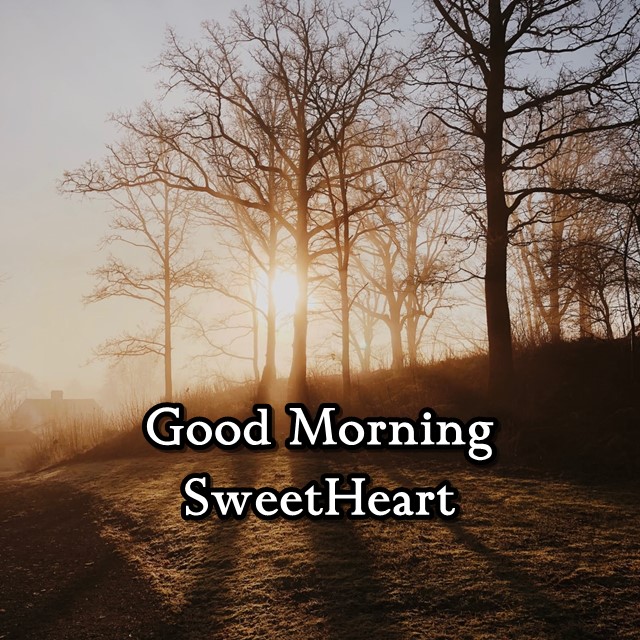 Most Romantic Good Morning Texts to Brighten Her Day Good morning images