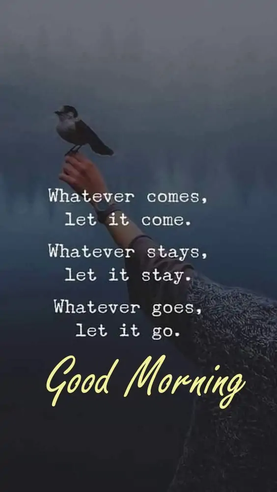 Positive Good Morning Quotes and Images